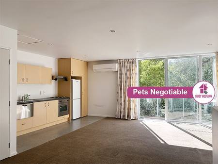 Buy 6 Tussock Lane | $545 weekly in NZ. 6 tuft way | $545 time period - void warm and bright flat in Ferrymead, available now!  	  nice natural interior decoration end-to-end  	  
